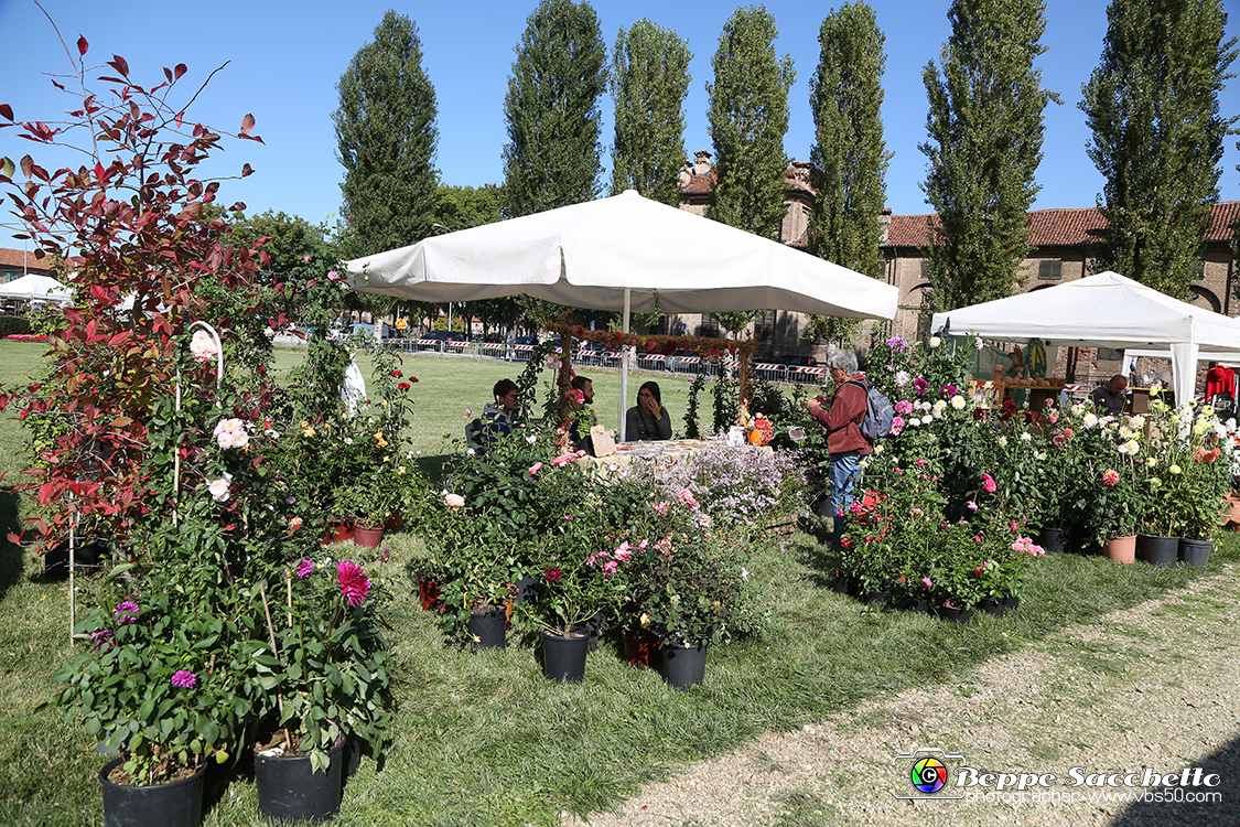 VBS_2356 - FloReal 2021 alla Palazzina di Caccia di Stupinigi.jpg